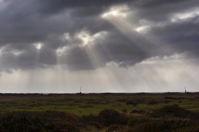 1959298_662761390472114_1858009087760232403_n